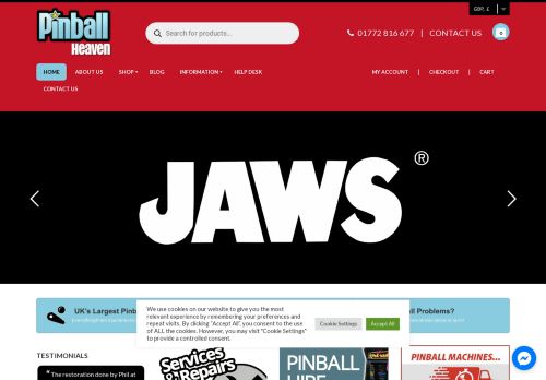 Pinball capture - 2024-02-11 05:27:36