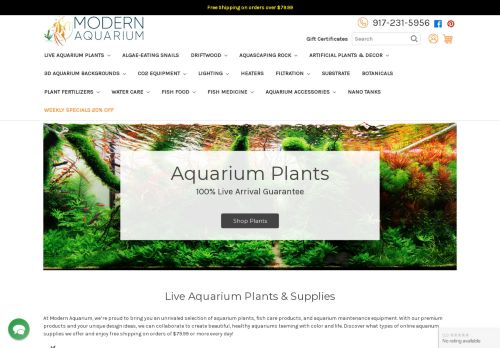 Modern Aquarium capture - 2024-02-11 06:54:22