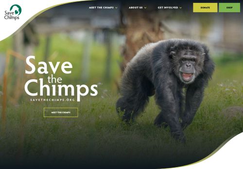 Save The Chimps capture - 2024-02-11 13:37:19