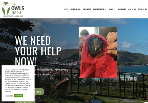 The Owls Trust capture - 2024-02-12 01:50:12