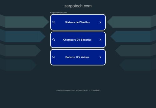 Zergo Tech capture - 2024-02-12 13:58:27