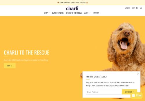 Charli Pets capture - 2024-02-12 15:25:54