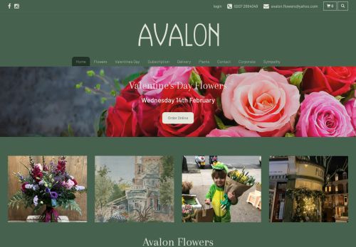 Avalon Flowers capture - 2024-02-14 14:17:59