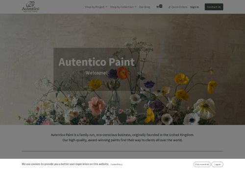 Autentico Paint capture - 2024-02-14 19:08:31