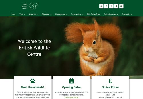 British Wildlife Centre capture - 2024-02-15 14:11:00
