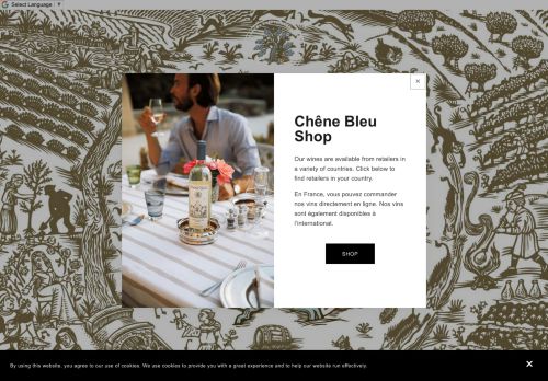 Chene Bleu capture - 2024-02-16 03:31:07