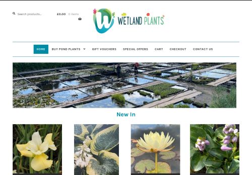 Wetland Plants capture - 2024-02-16 11:28:37