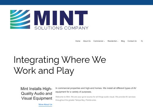 Mint Solutions Company capture - 2024-02-17 12:01:52
