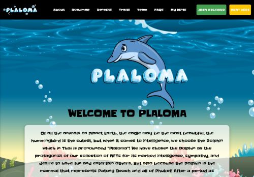 Plaloma capture - 2024-02-17 15:12:31