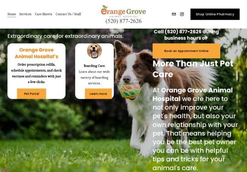 Orange Grove Animal Hospital capture - 2024-02-17 15:52:55