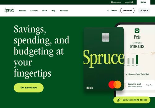 Spruce Money capture - 2024-02-17 23:06:25