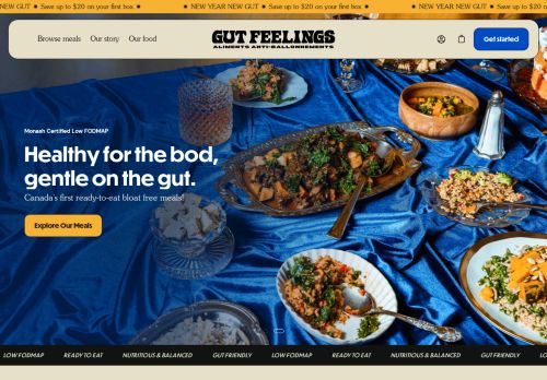 Gut Feelings capture - 2024-02-20 06:30:26