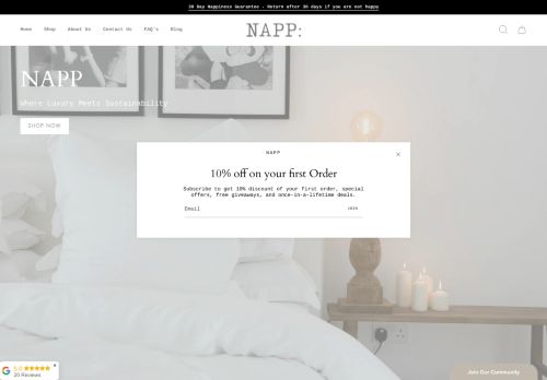 Napp Design capture - 2024-02-20 11:43:56