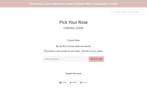 Pick Your Rose capture - 2024-02-21 02:31:20