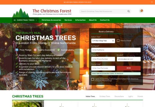Christmas Forest capture - 2024-02-21 04:40:55