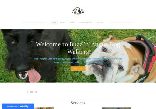 Buzz And Angus Dog Walkers capture - 2024-02-21 14:00:01