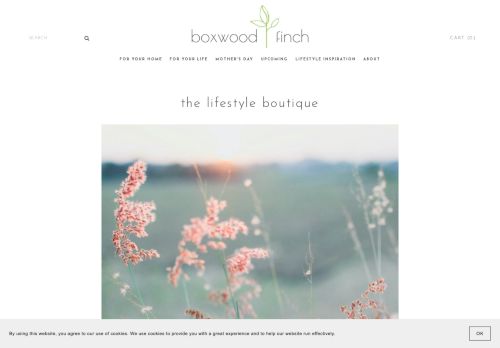 Boxwood Finch capture - 2024-02-21 17:05:57