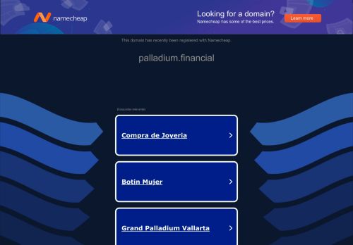 Palladium Financial capture - 2024-02-21 17:29:01