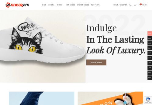 Sneakars capture - 2024-02-22 08:07:31