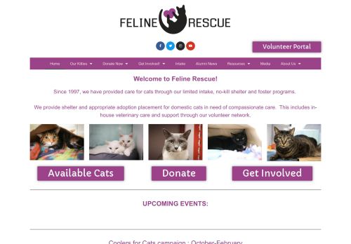 Feline Rescue capture - 2024-02-22 17:02:18