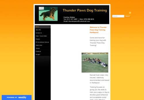 Thunder Paws Dog Training capture - 2024-02-23 19:59:40