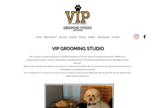 Vip Grooming Studio capture - 2024-02-25 06:02:18