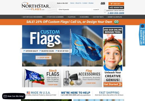 North Star Flags capture - 2024-02-25 15:52:54