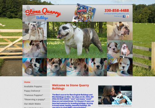 Stone Quarry Bulldogs capture - 2024-02-26 04:49:23