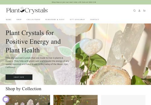 Plant Crystals capture - 2024-02-26 22:23:38