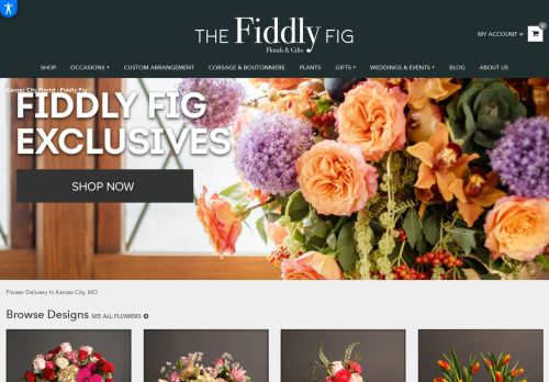 Fiddly Fig capture - 2024-02-27 04:15:48