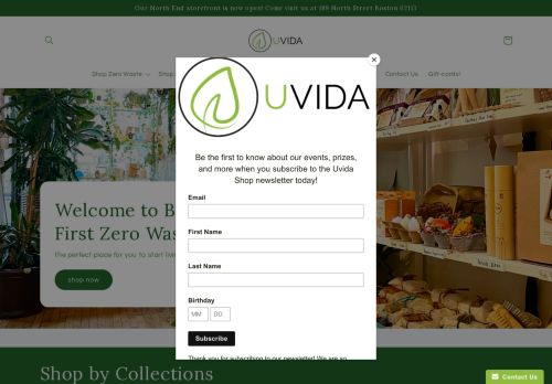 Uvida Shop capture - 2024-02-27 04:44:32