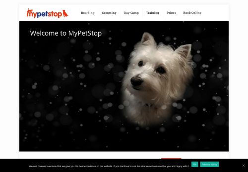 My Pet Stop capture - 2024-02-29 16:11:24
