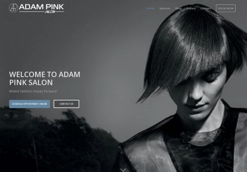 Adam Pink Salon capture - 2024-02-29 21:44:28