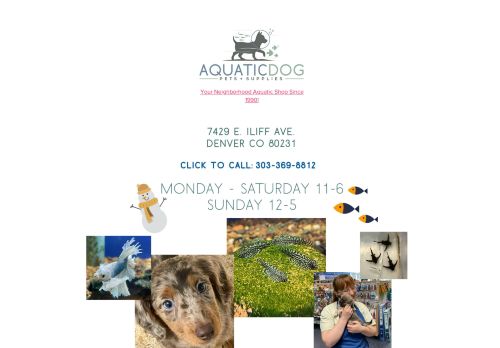 Aquatic Dog capture - 2024-03-01 02:25:58