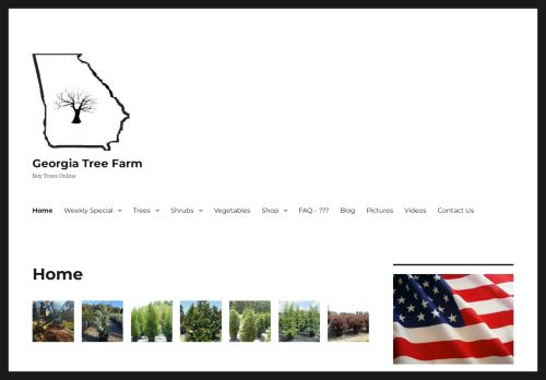 Georgia Tree Farm capture - 2024-03-01 05:02:31