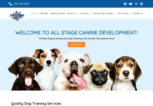 All Stage Canine Development capture - 2024-03-01 16:28:46