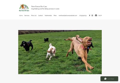 New Forest Pet Care capture - 2024-03-01 18:44:30