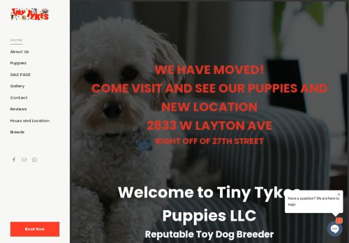 Tiny Tykes Puppies capture - 2024-03-07 18:03:20