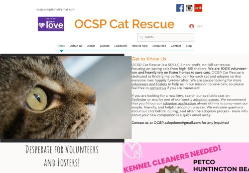 Ocsp Cat Rescue capture - 2024-03-08 05:43:41