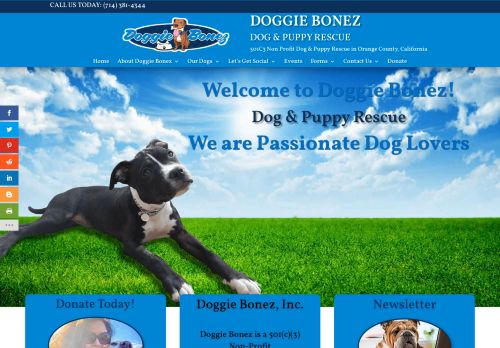 Doggie Bonez capture - 2024-03-08 08:50:57