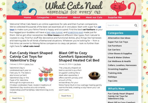 What Cats Need capture - 2024-03-10 00:23:28