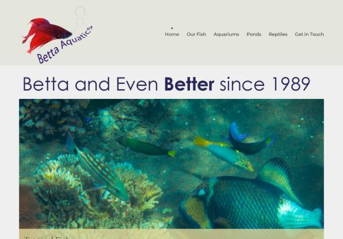 Betta Aquatics capture - 2024-03-10 03:20:02