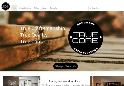 True Core Furniture capture - 2024-03-10 05:00:55