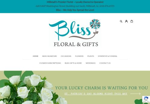 Bliss Floral Mill capture - 2024-03-10 05:55:01