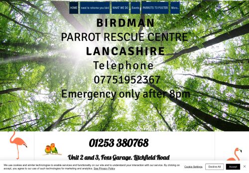 Birdman Parrot Rescue capture - 2024-03-10 06:40:47
