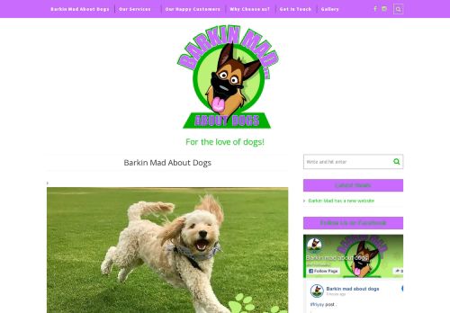 Barkin Mad About Dogs capture - 2024-03-10 16:14:24