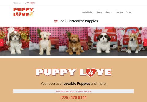 Puppy Love capture - 2024-03-10 16:29:22