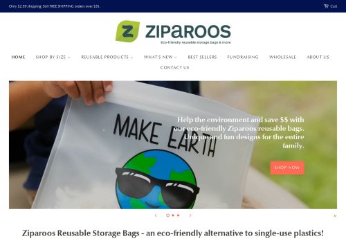 Ziparoos capture - 2024-03-13 06:23:37