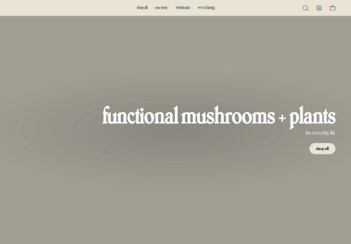 Fungtion capture - 2024-03-13 10:08:22