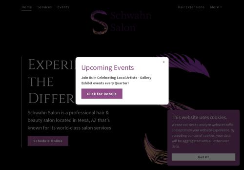Schwahn Salon capture - 2024-03-13 21:44:52